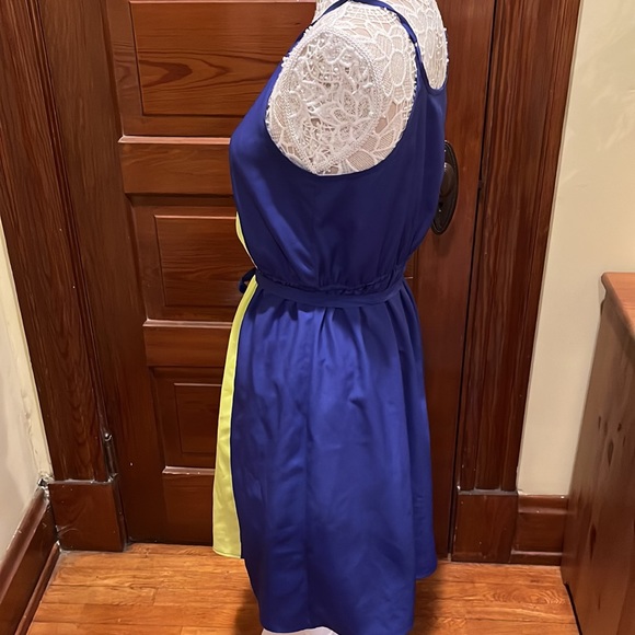 Mossimo Color Block Dress (Size L) - Picture 4 of 8